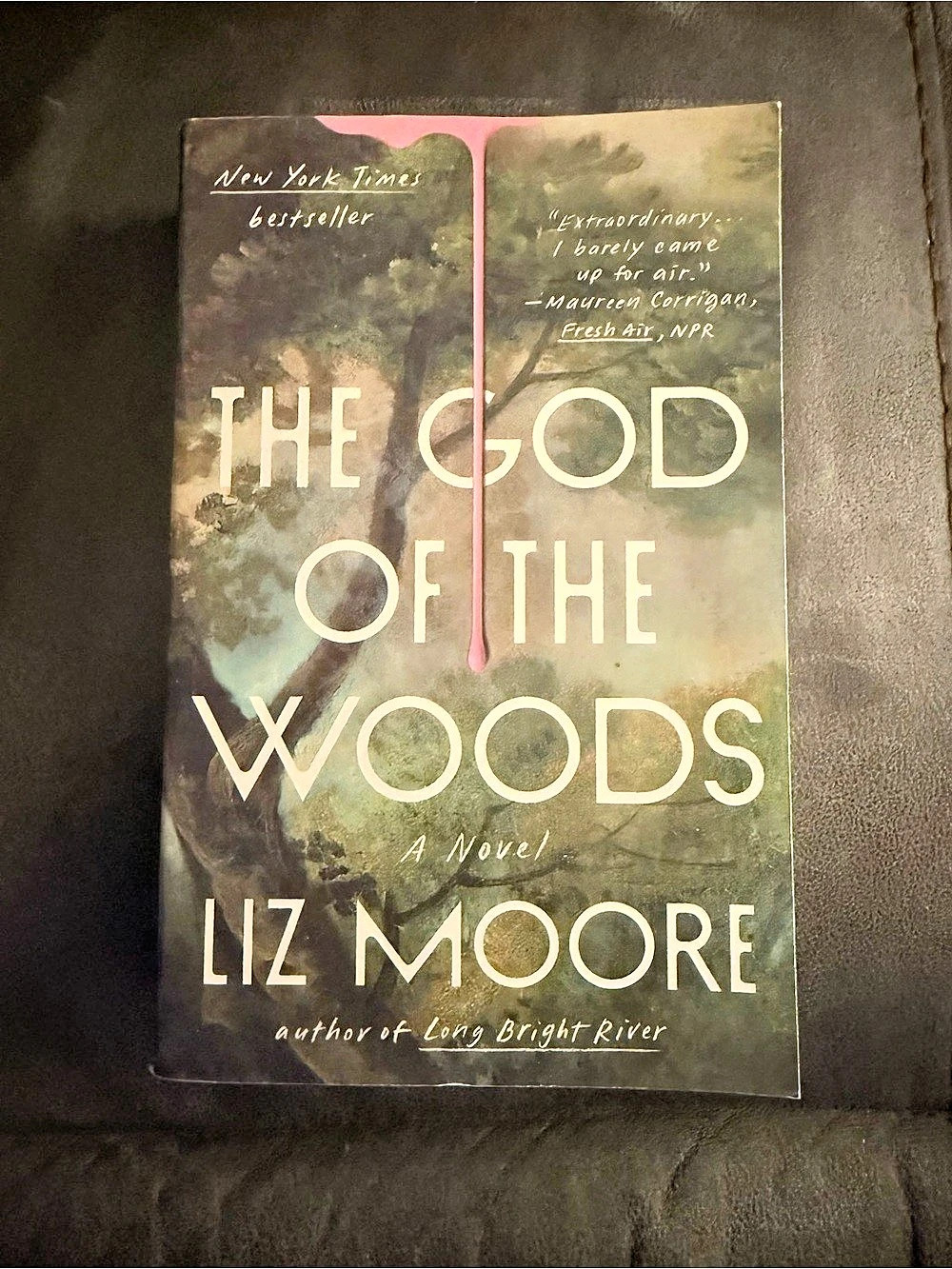 Penguin Random House The God of the Woods Liz Moore Paperback Book